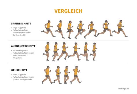 Leichtathletik: 30+ Technikkarten für die Schule & Verein