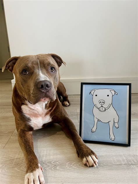 Benutzerdefinierte Haustier Portrait Zeichnung Von Hand Gezeichnet Von