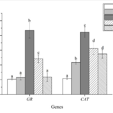 Relative Mrna Expression Of Antioxidant Related Genes In Liver Of