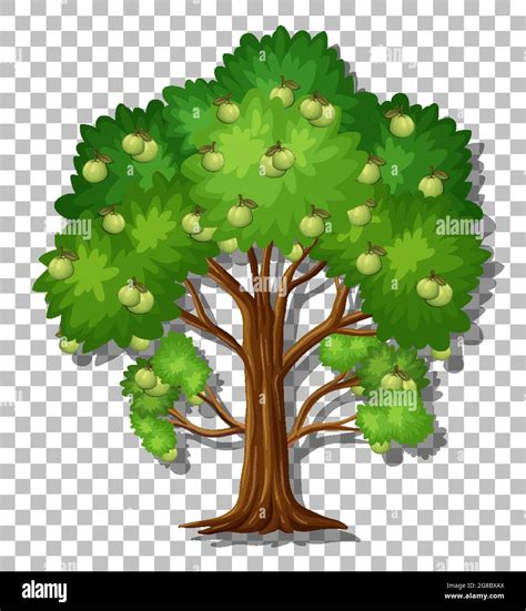 Guava Tree Clip Art