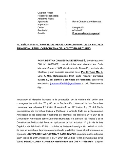 Modelo De Denuncia Por Usurpacion Y Daños Ncpp Castigos Derecho Penal