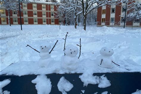 Students create amazing snow sculptures for contest | Augustana College