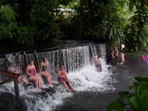 Tabacon Hot Springs Picture Of Tamarindo Province Of Guanacaste