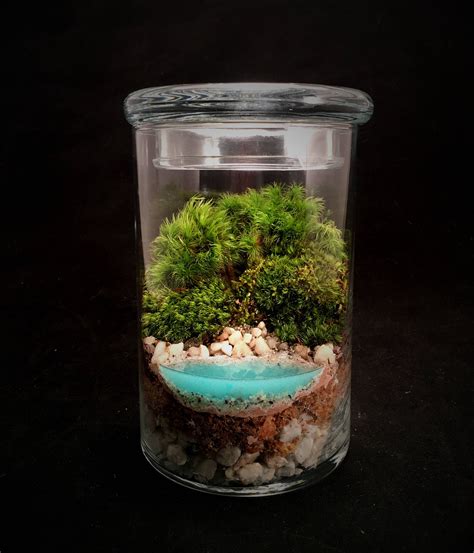 Beach Terrarium With Live Moss And Pebbles In Glass Jar Etsy Water