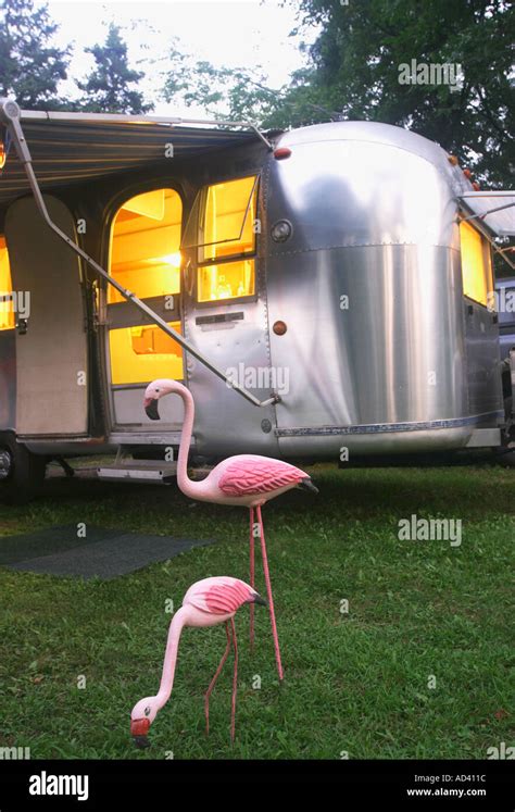 Antique pink flamingos near vintage 1968 Airstream travel trailer Stock ...