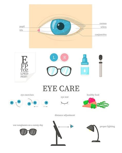 Menselijk Oog Diagram Oogzorg Vector Platte Geïsoleerde Illustratie