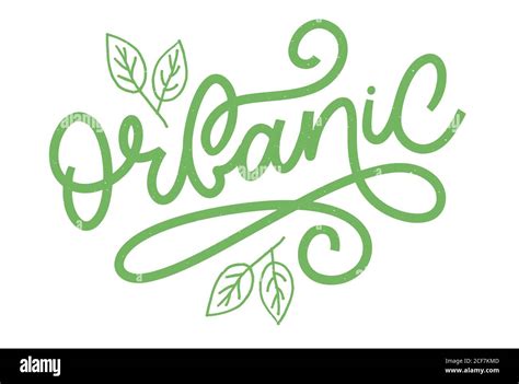 Organic Slogan Brush Lettering Hand Drawn Word Organic With Green