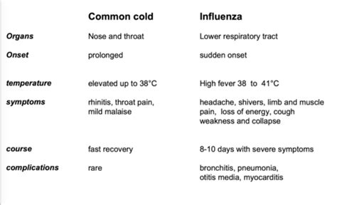 Common Viral Infections Flashcards Quizlet