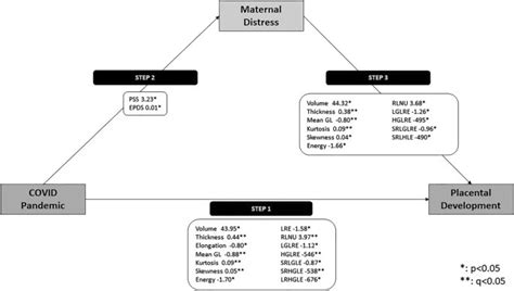 Agingdoc Md Phd On Twitter Influence Of Maternal Psychological