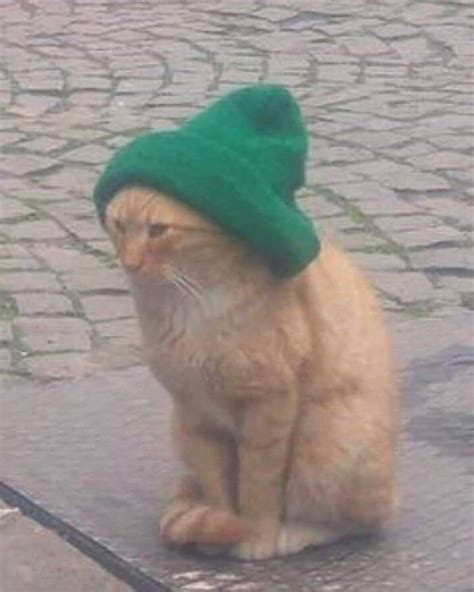 Подборка прикольных фото / Приколы