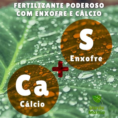 Sufolc Calda Sulfocálcica Pronta Em Pó sulfocal 1 Kg