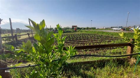 Nasce Il Progetto Agri Cultura Un Iniziativa Per Il Recupero