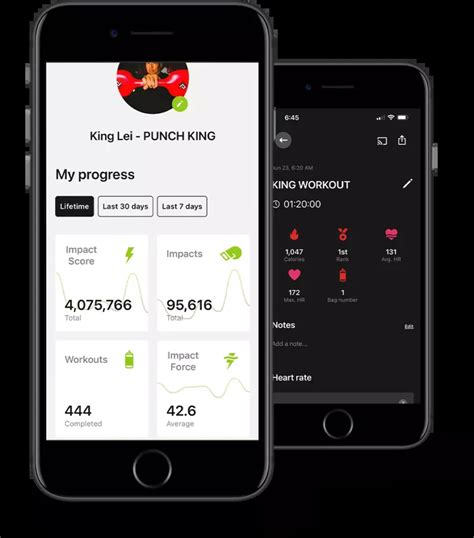 Punch King Fitness Punch King Fitness