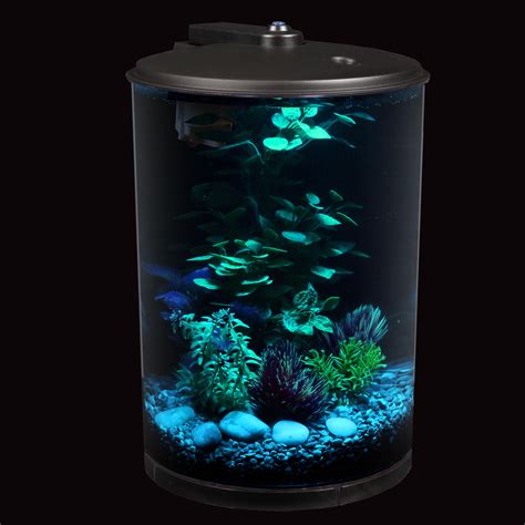 3 Gallon 360 View Aquarium Kit With LED Lighting And Filtration Fish