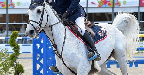 Equitation JumpEst les records de la Mosellane Stéphanie Hennequin