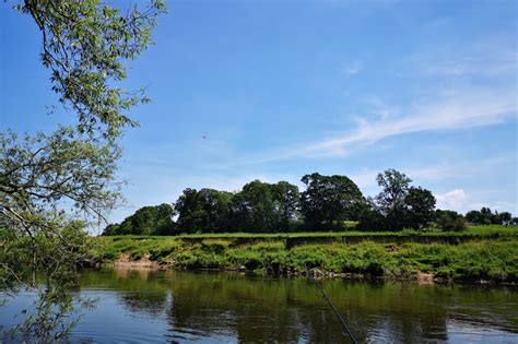 Rural Homeowners Let Down By Government Greening Plans Phpi Online