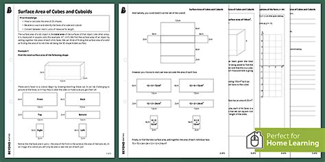 Surface Area Of Cubes And Cuboids Worksheet Ks Maths