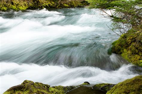 McKenzie River - Blue Pool and Proxy Falls — Maura Brady