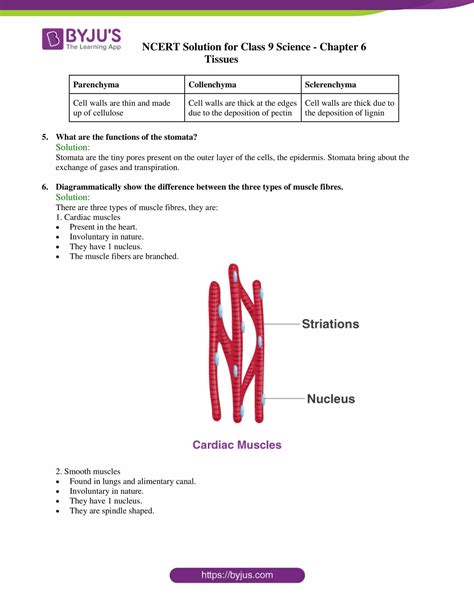 Ncert Solutions Class Science Chapter Tissues Updated For Cbse