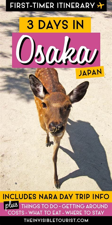 Day Osaka Itinerary Complete Guide Nara Day Trip The Invisible