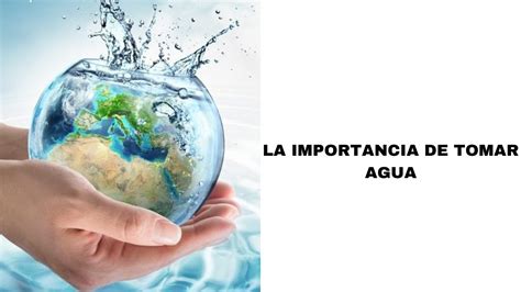 Diagrama De Venn Sobre La Importancia Del Agua Importancia D