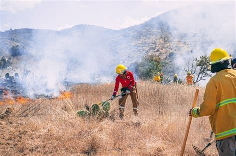 Consumen Incendios Forestales 221 Hectáreas De Hidalgo En Dos Meses Y Medio Periódico Am