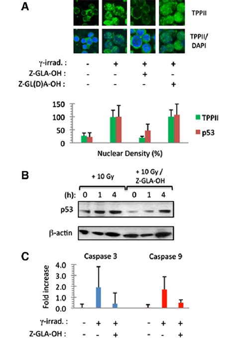 A Peptide Based Inhibitor Inhibits Nuclear Tppii Expression And