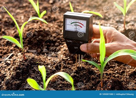 Soil PH Meter And Soil Fertility Meter For Cultivation P Value It Is