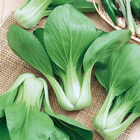 Buy Pak Choi Baby Choi Organic Organic Seeds Organic Gardening