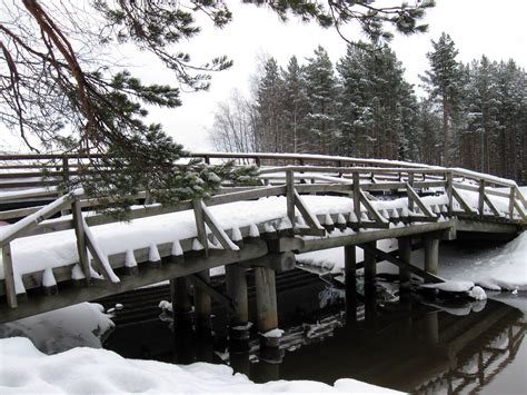 Banco De Imagens Agua Natureza Floresta Neve Inverno Arquitetura