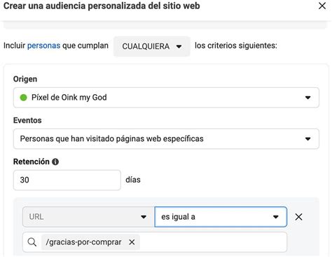 Cómo crear audiencias similares en Meta Ads 4 ejemplos Oink