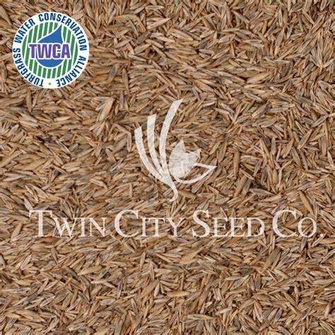 Shady Lawn Seed Mixture Twin City Seed Company