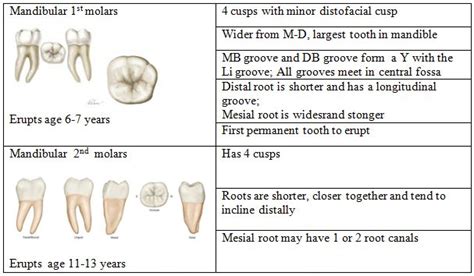 Classification Of Caries Gv Black E Learning Platform Elearning Online Learning Learning