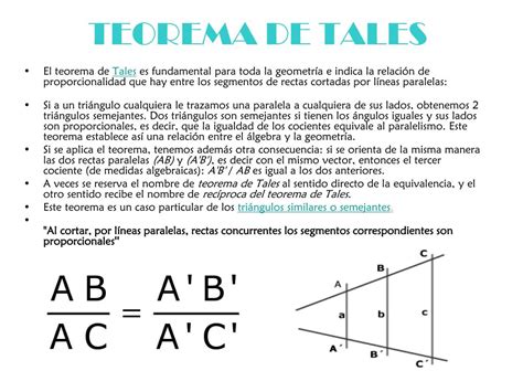 Mapa Mental Sobre Teorema De Tales Maps Study