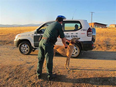 La Guardia Civil Investiga La Falsificaci N De Documentos De Ocho