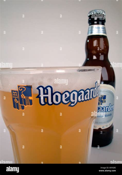 Bottle And Glass Of Hoegaarden White Beer Belgium Stock Photo Alamy