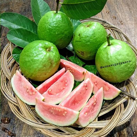 Jual Buah Jambu Biji Merah Guava Red Segar Fresh Jakarta Utara