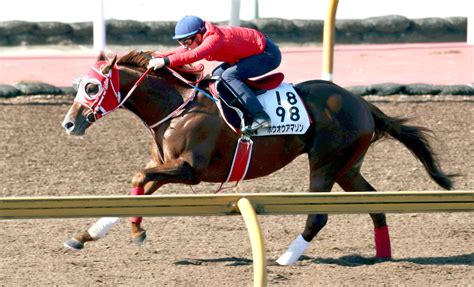 土曜メインレースの注目激走馬阪神11rスワンステークス・g2 Umatoku 馬トク