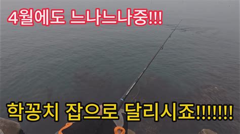 4월에도 학꽁치 낚시 느나느나중 학꽁치 잡으로 달리시죠 Youtube