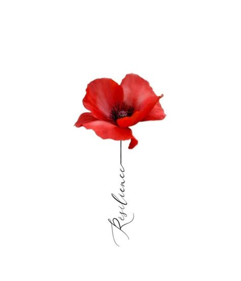 Pin By Ania On Tatouage Minimaliste In 2024 Poppies Tattoo Red