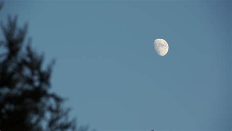 Wassende Maan Halfvol En Verder De Wilde Ondernemer