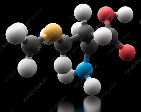 Methionine Amino Acid Molecule Stock Image C Science