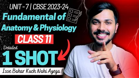 Fundamental Of Anatomy Physiology Detailed Oneshot Unit 7 Physical