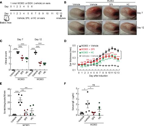 Frontiers Topical Skullcapflavone II Attenuates Atopic Dermatitis In