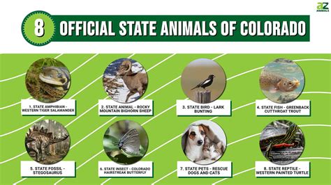 Discover The 8 Official State Animals Of Colorado A Z Animals