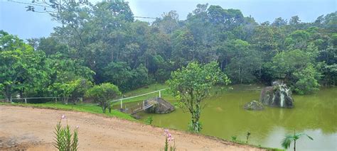 Sítio em Águas Mornas Código st 670