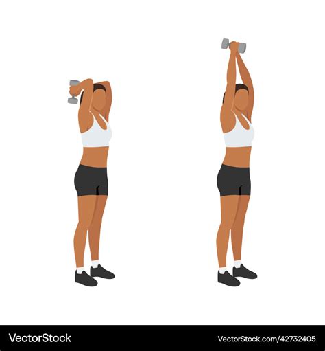 Woman Doing Dumbbell Triceps Extension Exercise Vector Image