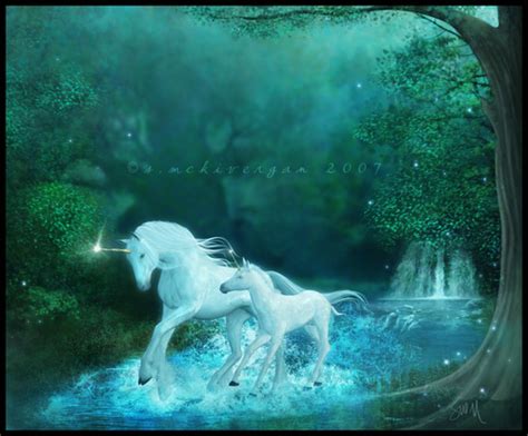 Unicorns Unicorns Photo Fanpop