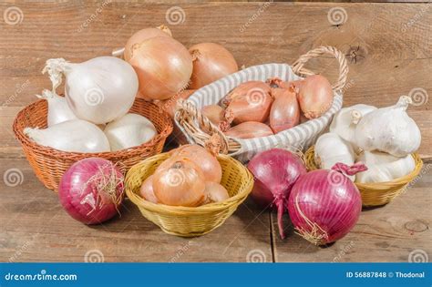 Tipos Diferentes De Cebolas De Alho E De Chalotas Foto De Stock