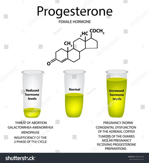 호르몬 프로게스테론의 화학 분자공식여성 성호르몬프로게스테론 감소 스톡 벡터로열티 프리 689091040 Shutterstock